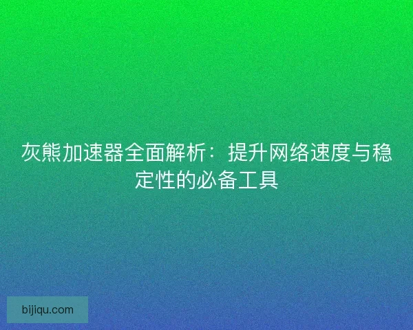 灰熊加速器全面解析：提升网络速度与稳定性的必备工具